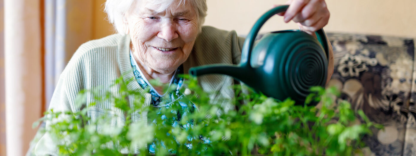 Memory care resident watering a planter filled with herbs