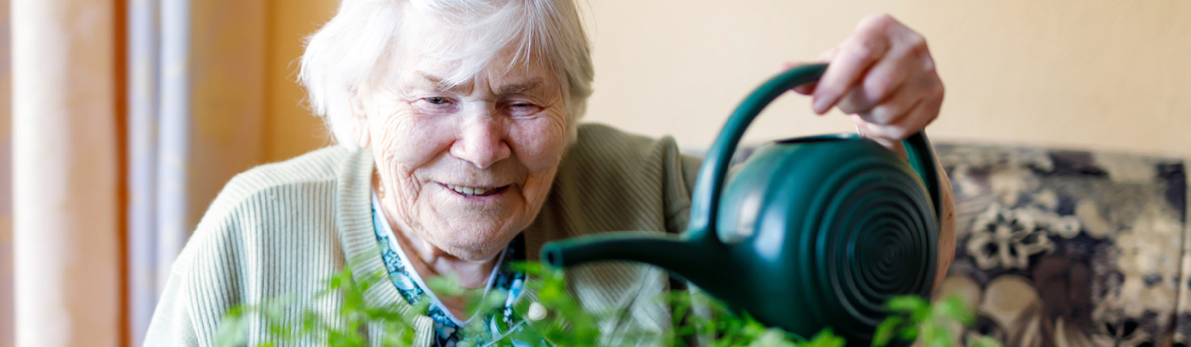 Memory care resident watering a planter filled with herbs
